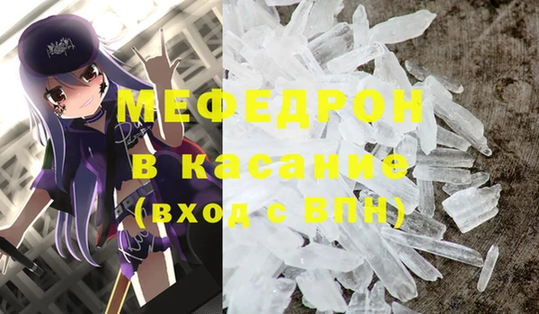 стаф Корсаков