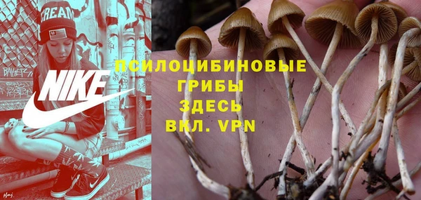 Альфа ПВП Зеленокумск