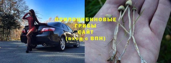 Альфа ПВП Зеленокумск
