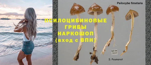 Альфа ПВП Зеленокумск